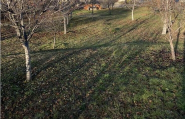 София, гр. Банкя, Продава 