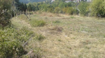 София, с. Кокаляне, Продава 
