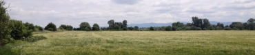 София, с. Чепинци, Продава 