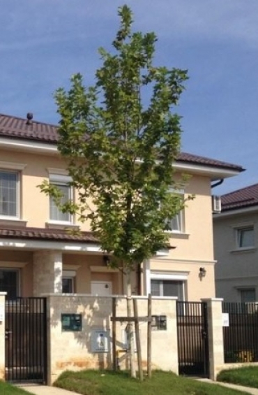 София, гр. Костинброд, Продава 