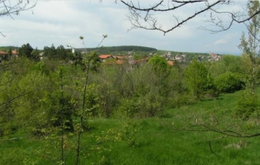 София, гр. Банкя, Продава 