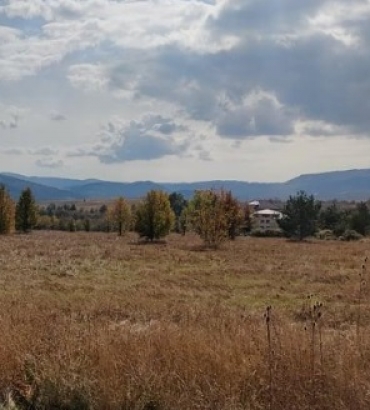 София, с. Бистрица, Продава 