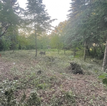 София, с. Панчарево, Продава 