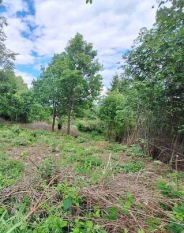 София, с. Панчарево, Продава 