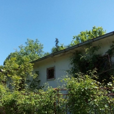 София, гр. София, Продава 