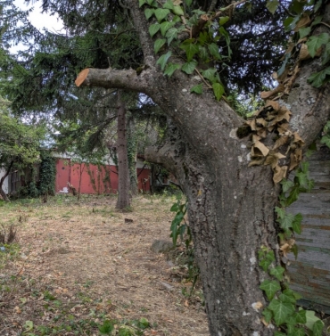 София, гр. София, Продава 